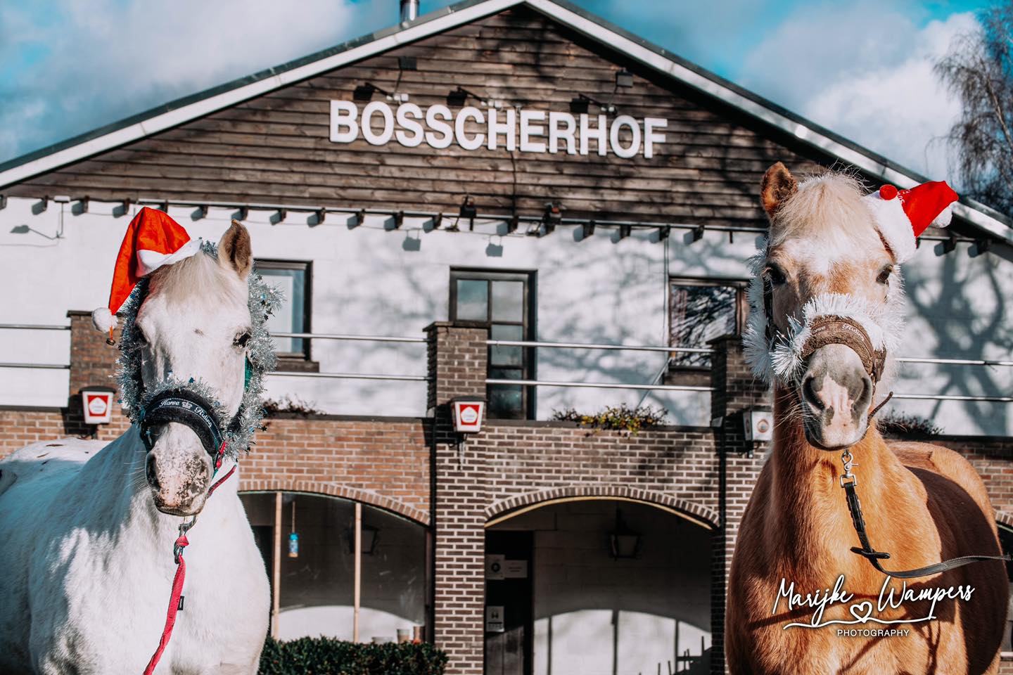 fijne-feestdagen-bosscherhof.jpg