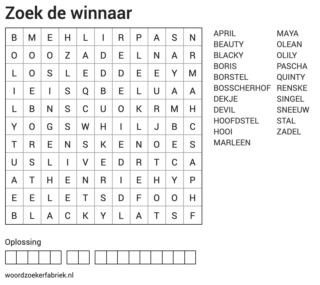 woordenzoeker.png